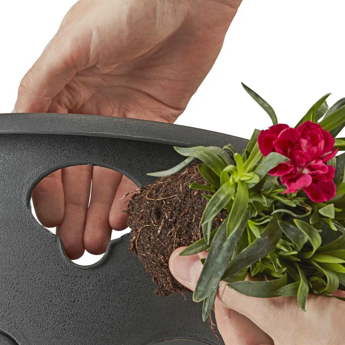 Thompson & Morgan Bloomaround Hanging Basket Garden Planter Plant Container with Water Reservoir for Flowers, Vegetables and Fruits from (30cm, 8 Pack)