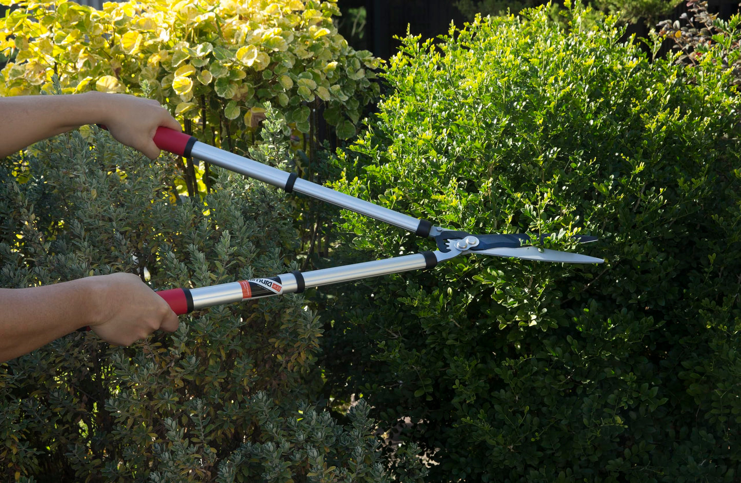 Kimura® Pro Telescopic Garden Shears - Premium Hedge Shears, Patented Gearing Technology, Lightweight Extendable Aluminium Handles, Japanese SK5 Steel Blades, Heavy Duty Gardening Shears - 630-820mm