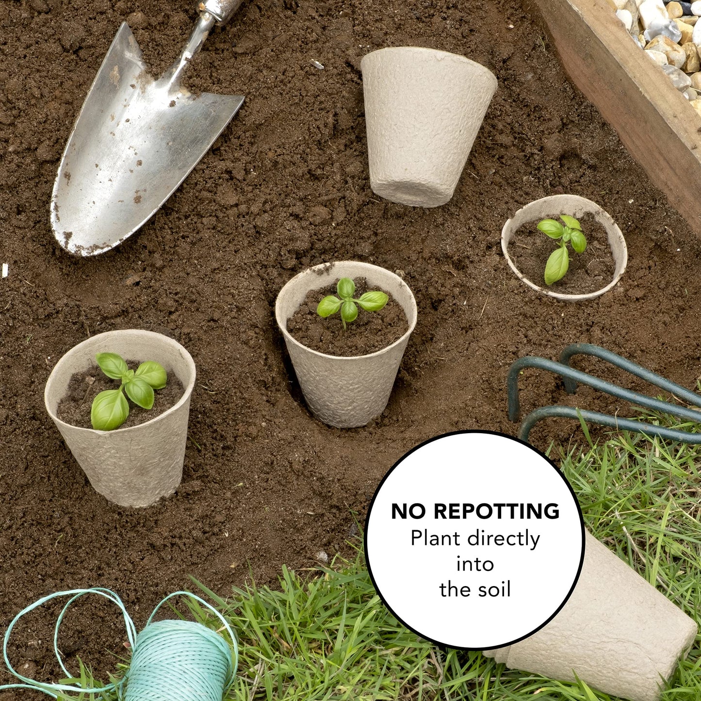 Little Chiltern Co 70 pack Biodegradable Organic Fibre Seedling Pots for Plant | Round Fiber Plant Pots for Outdoor Indoor Growing Plants | Seed Starter Nursery Plant Pots | Eco-Friendly Planting Pots