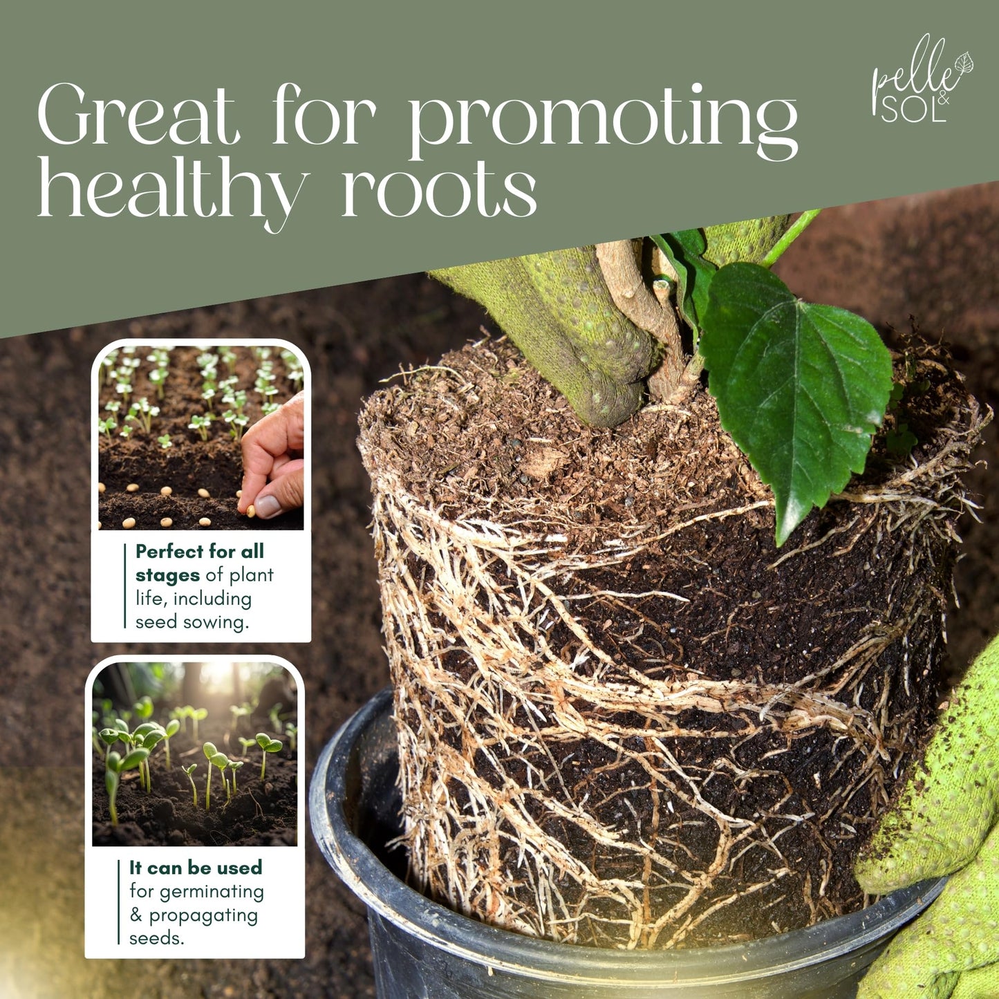 Pelle & Sol 60L Multi-Purpose Compost Soil - Potting Mix – Indoor Plant Soil - Use for Indoor Potting, Growing, Indoor Plants and General Planting Needs