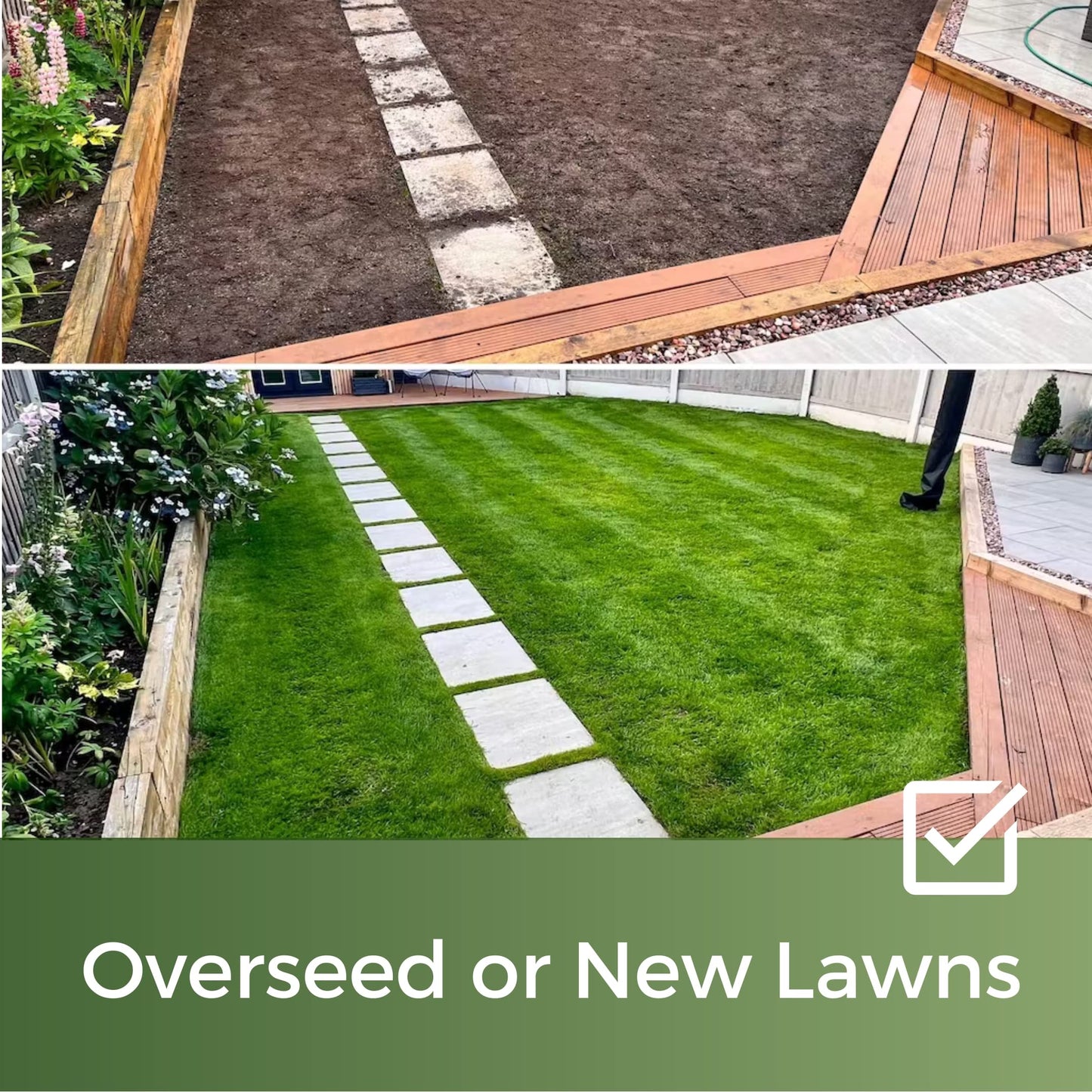 Pitch Perfect - Rye Grass Seed Sports Mix - Ultra Hard Wearing & Fast Growing - Garden Lawncare Guy 5kg