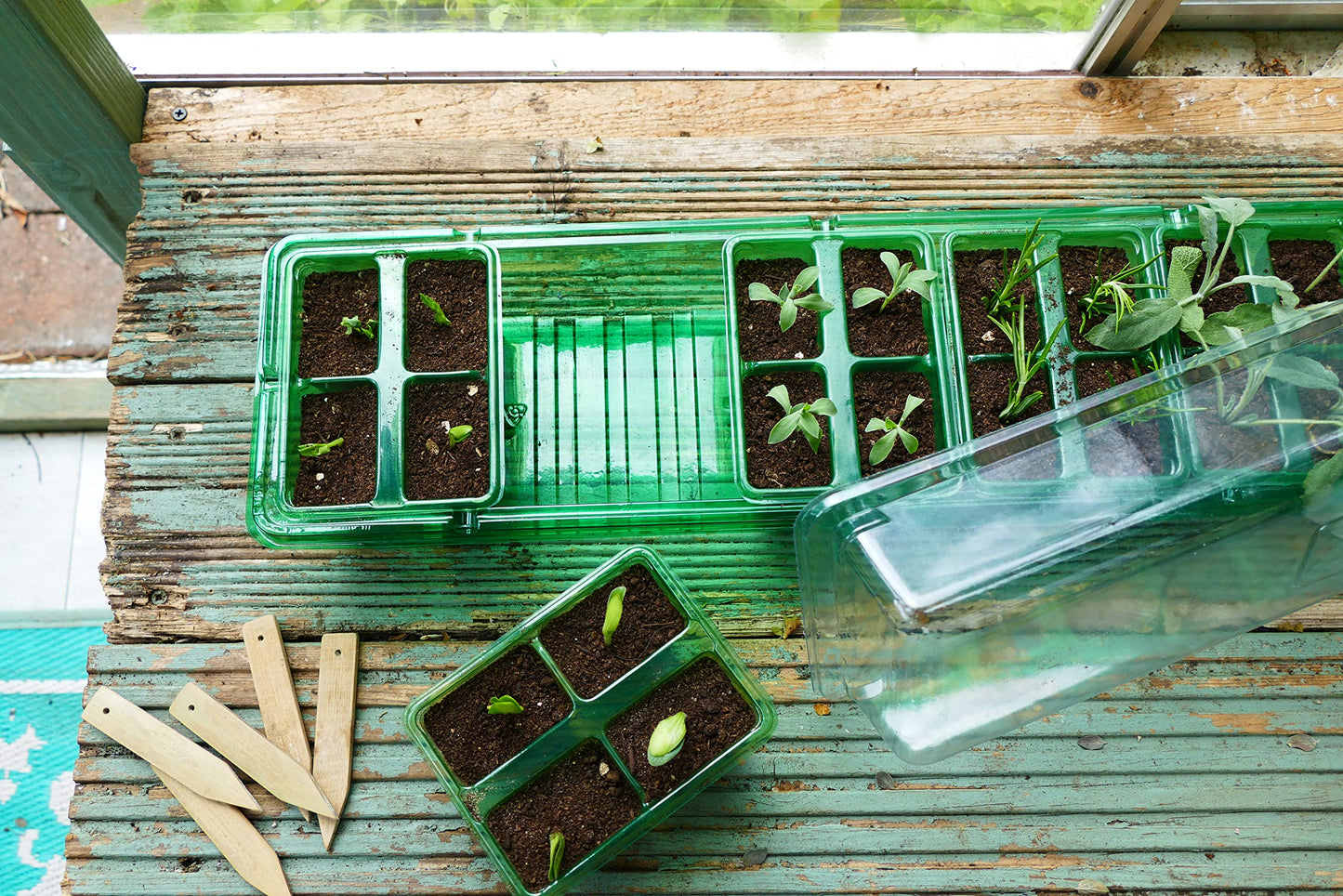 Gro-Sure Visiroot Windowsill Propagator Set, Green