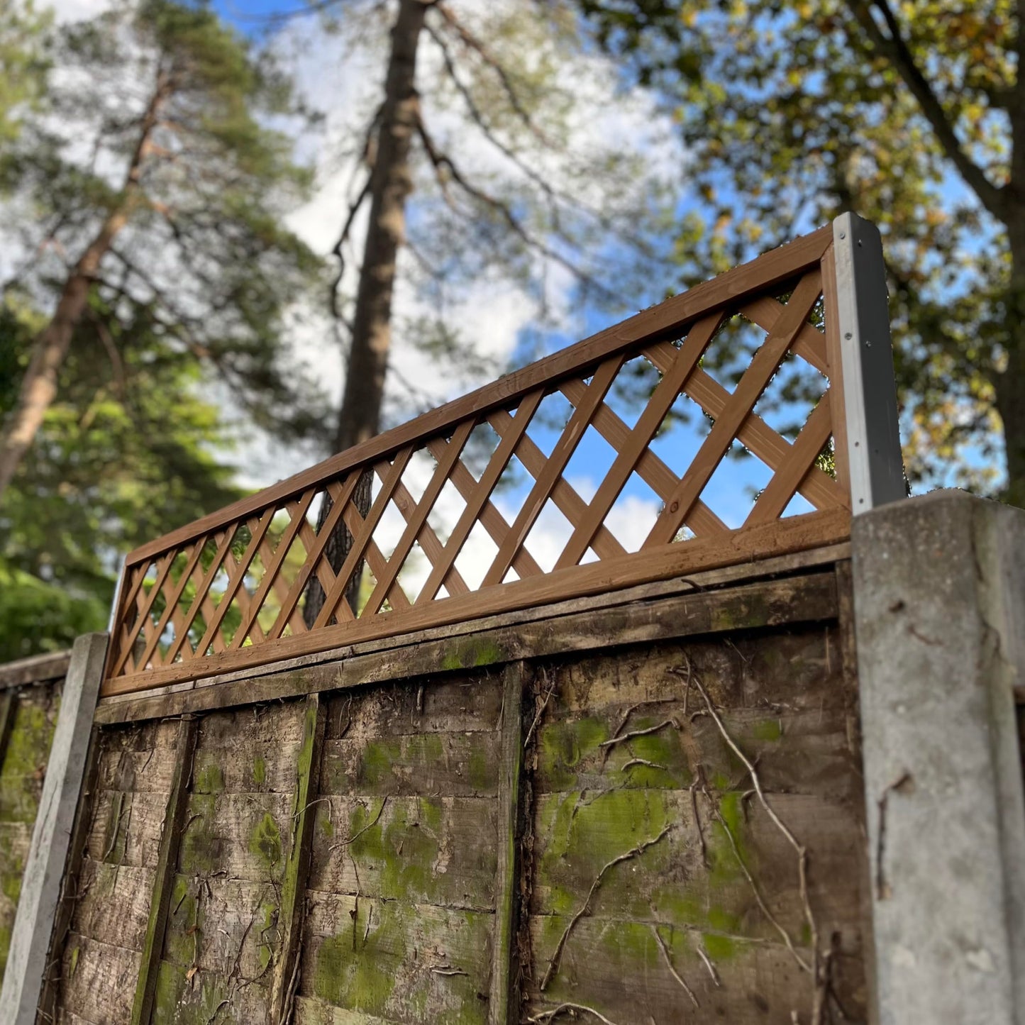 Selections Pack of 5 Wooden Framed Garden Trellis with Lattice Framework Fence Topper 180cm x 30cm