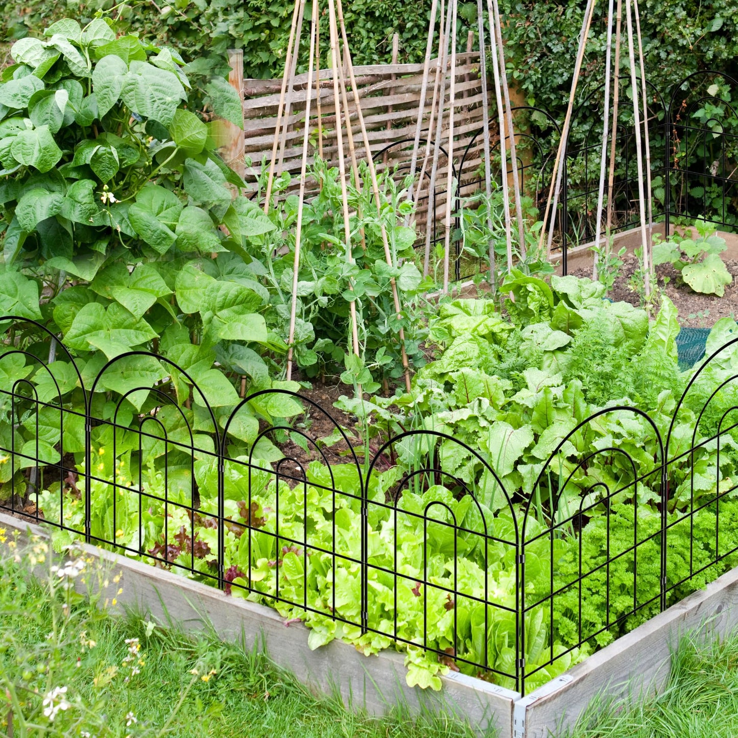 Thealyn Decorative Garden Fence 61cm H x 33cm W (10 Panels, Total Length 3.3m) Metal Fence No Dig Fence Outdoor Fence Border Fence Dog Fence for Flower Bed, Yard, Animal Barrier,Arch