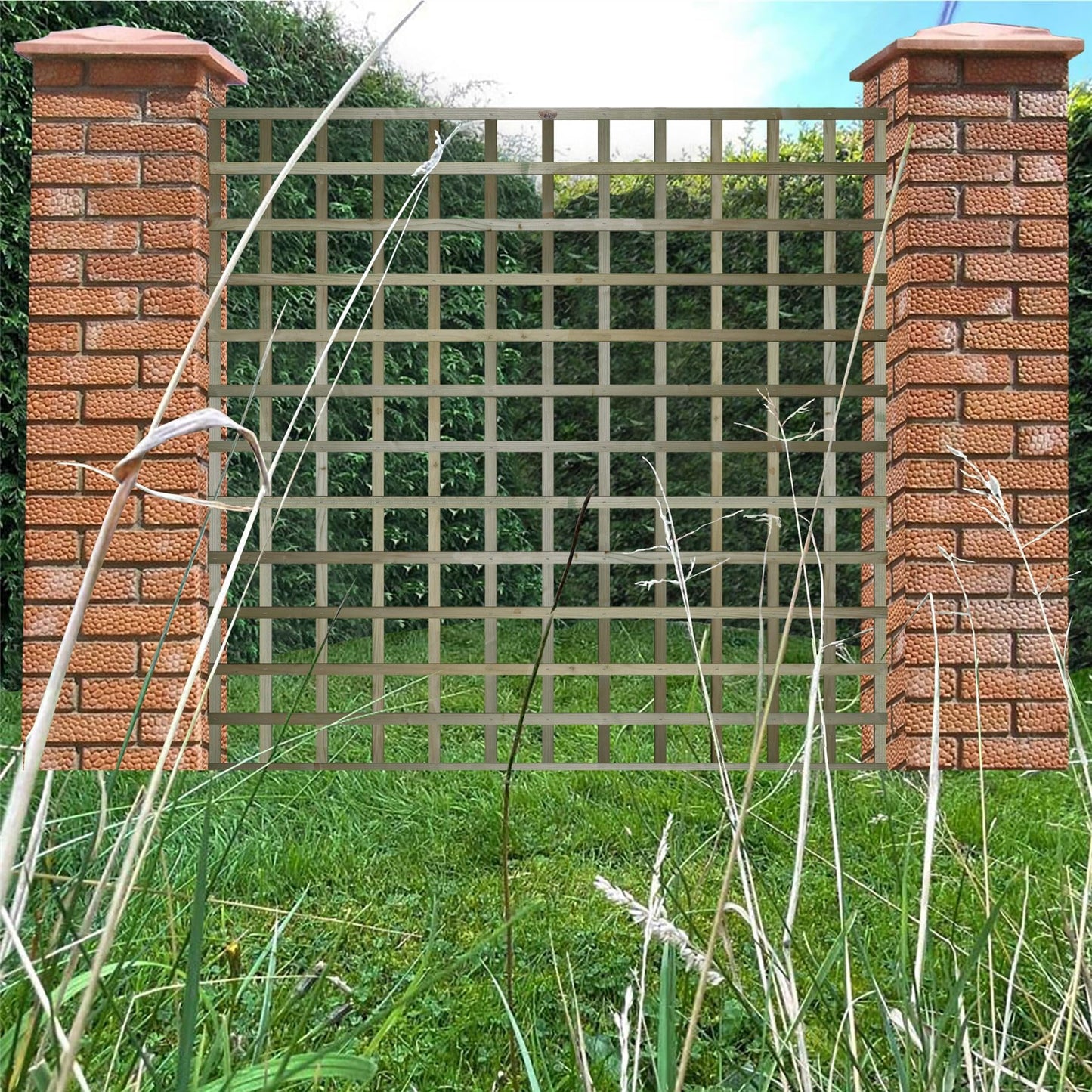 Premier Garden Standard Trellis Panels 120mm Squares Flat Design Width: 6ft (183cm) x Height: 6ft (180cm) Fence Panel Topper Wall Art Plant Growing Vine Trellis Panels
