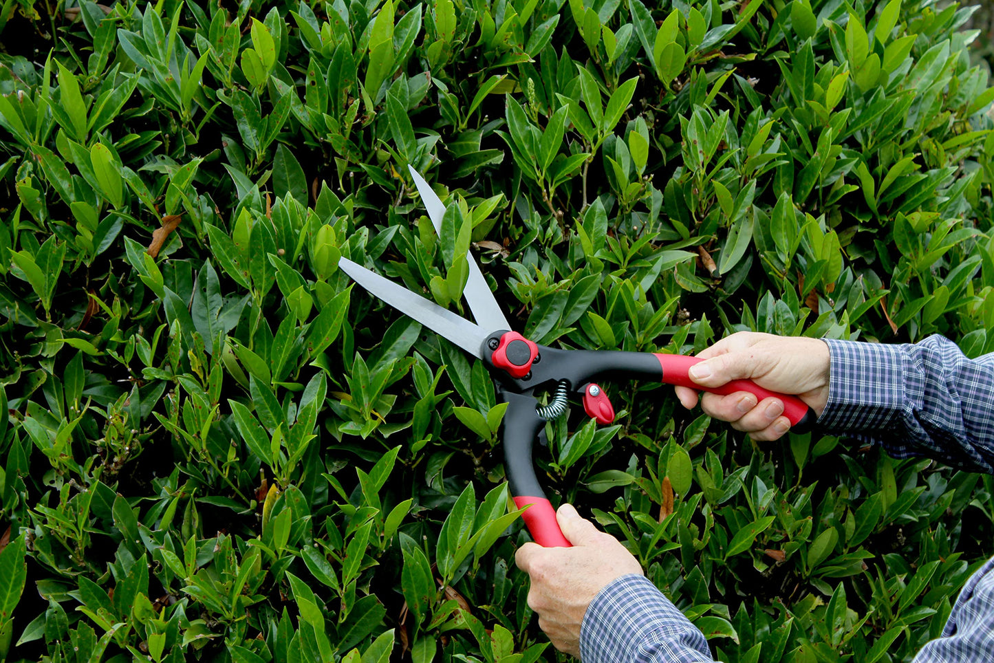 Darlac Classic Shear – Super Lightweight & Razor Sharp Ideal for Grass Cutting, Hedge Trimming, Topiary, Deadheading & General Use – Ergonomic Handles, Tension Adjuster & Easy Lock Mechanism