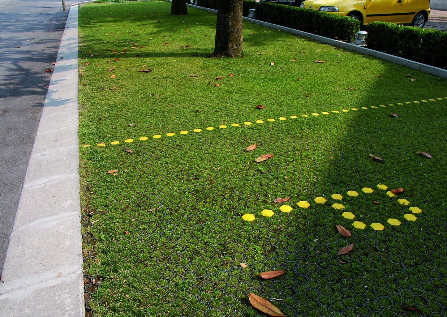 Suregreen Permeable Paving Driveway Grids | Porous Pavers | 60sqm | 240 Grids | Black