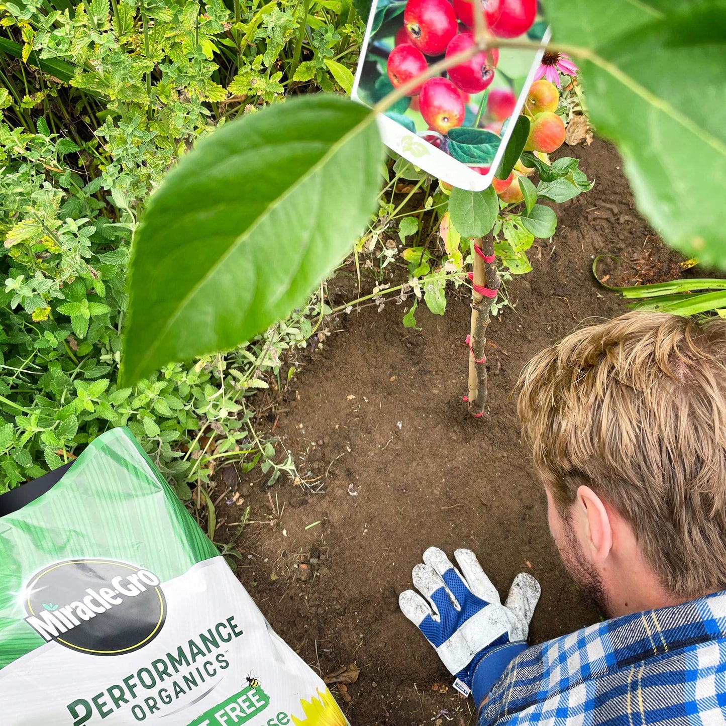Miracle-Gro Performance Organics All Purpose PEAT FREE Compost, 40L