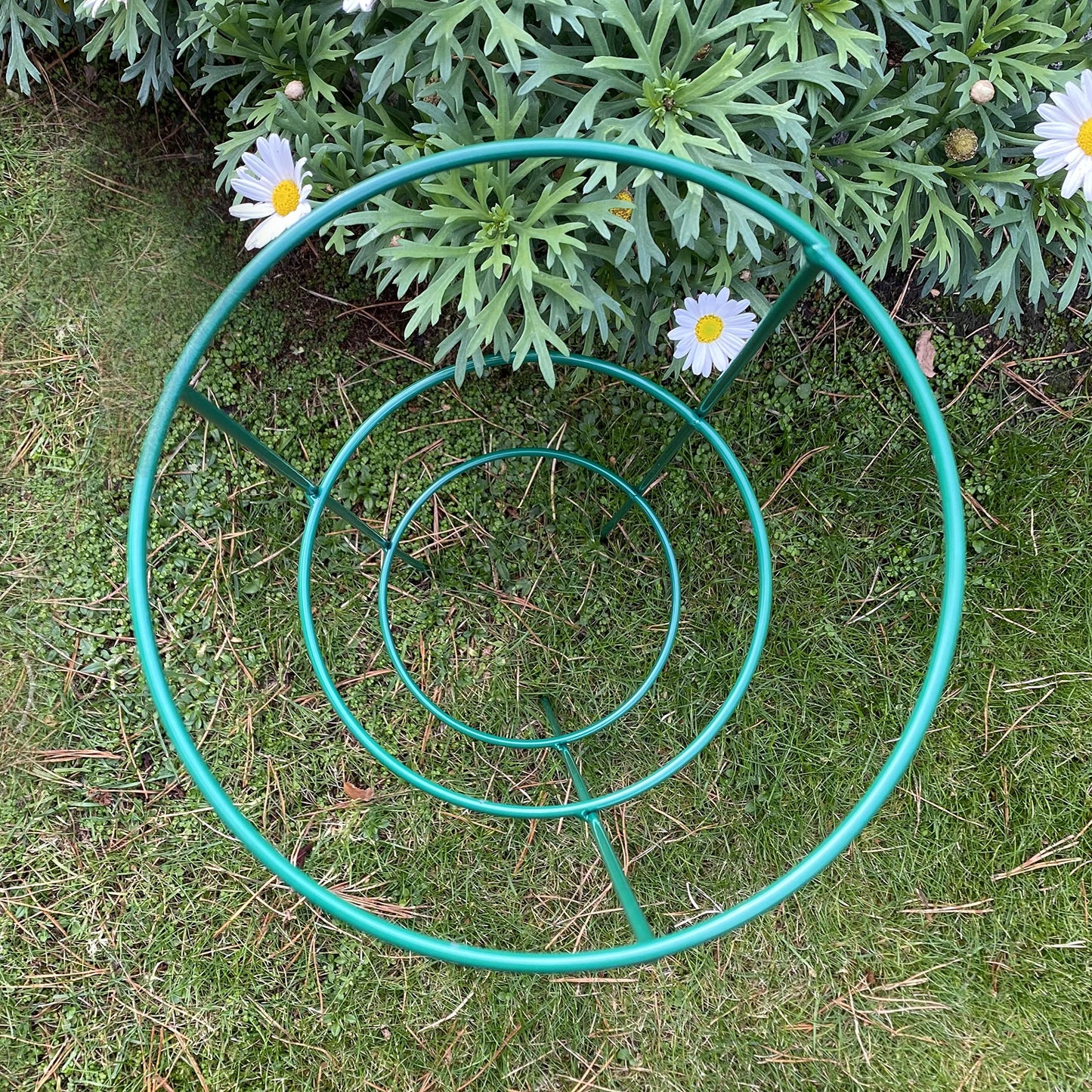 Selections Pack of 5 (48 Centimeter) Conical Garden Plant Support Rings