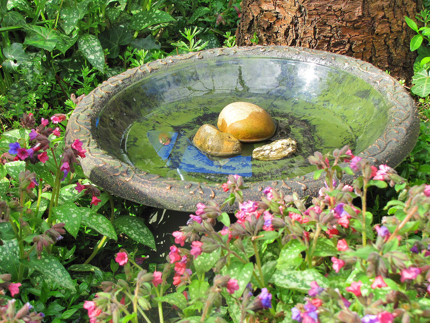 Coniston Bird Bath (Twist Fit Stem)