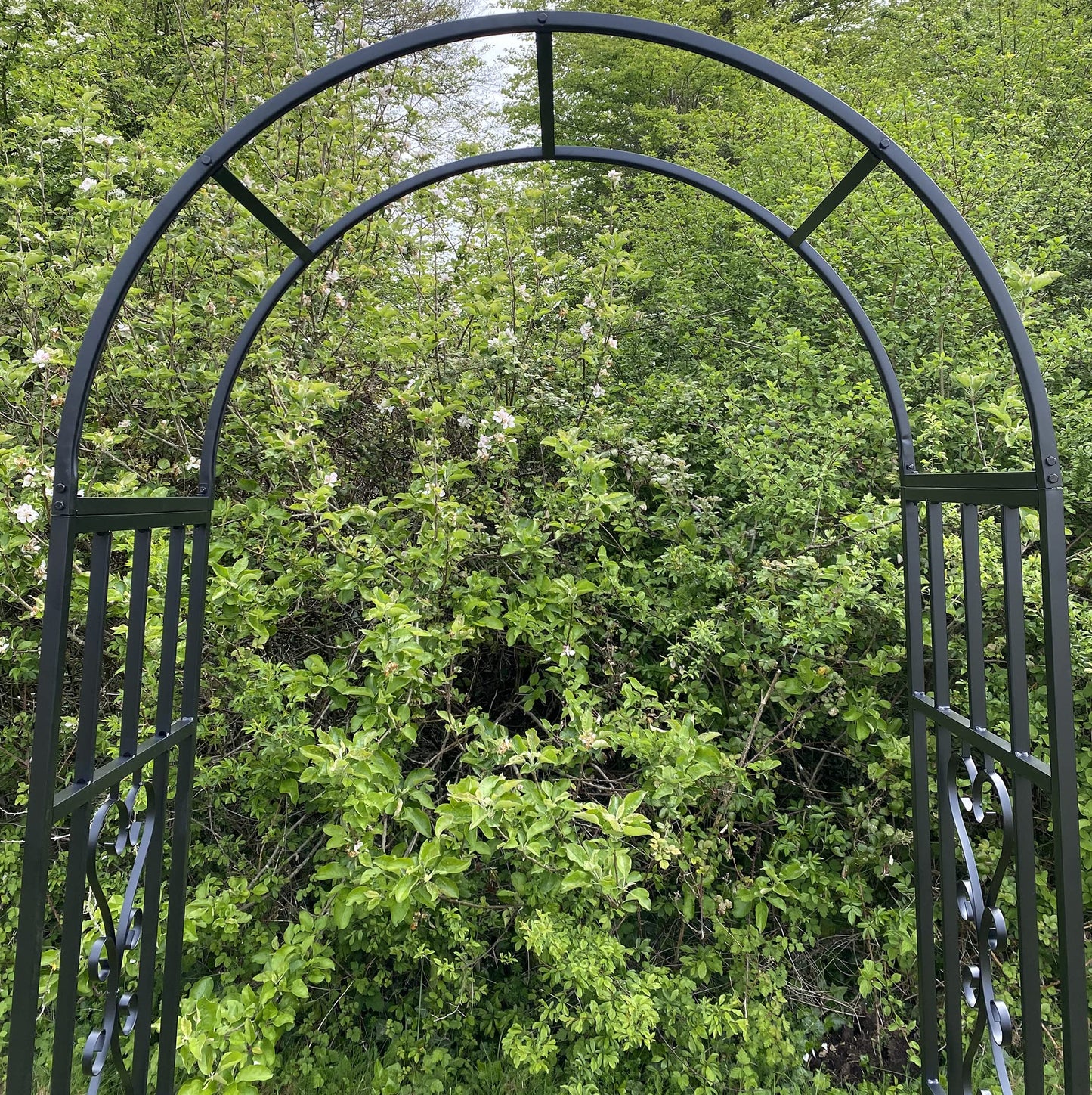 Selections Metal Amalfi Garden Arch