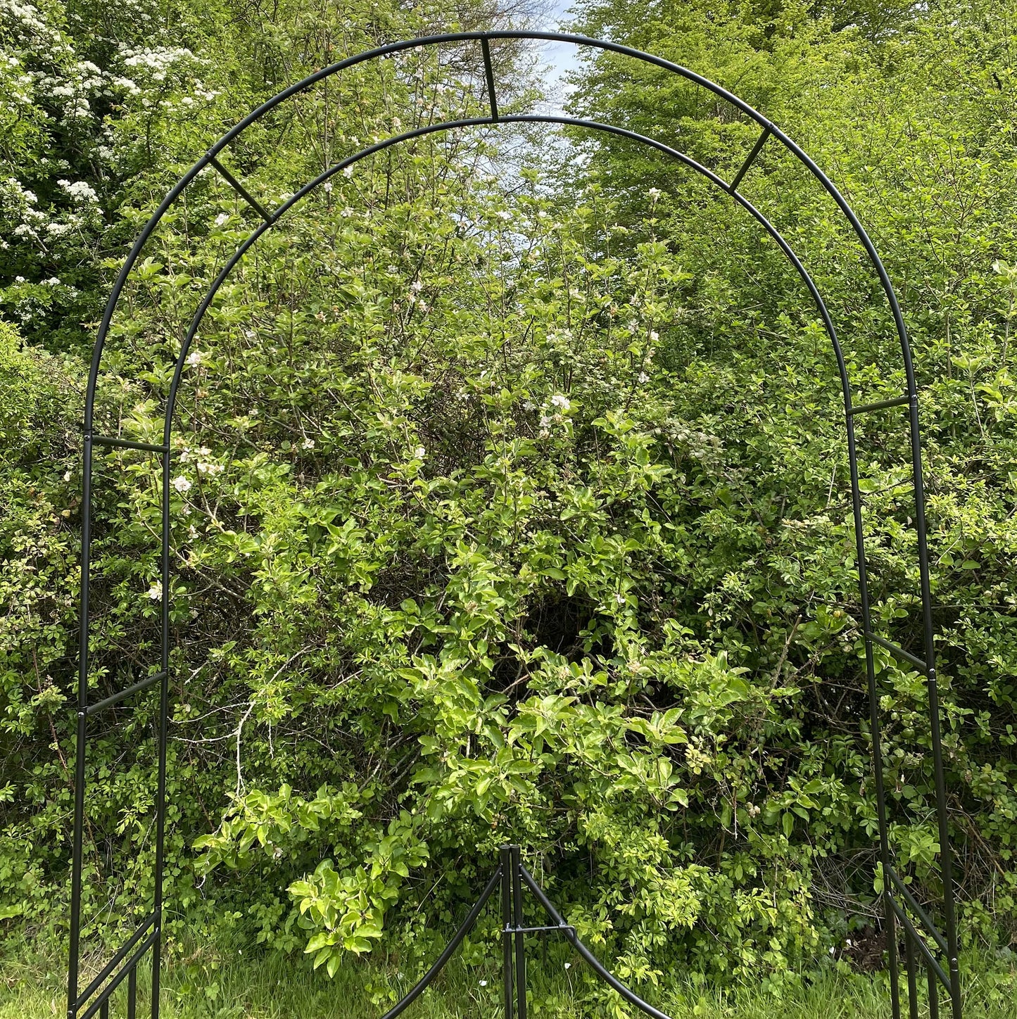 Selections Metal Garden Arch with Double Gate Outdoor Climbing Plants (240cm x 140cm)