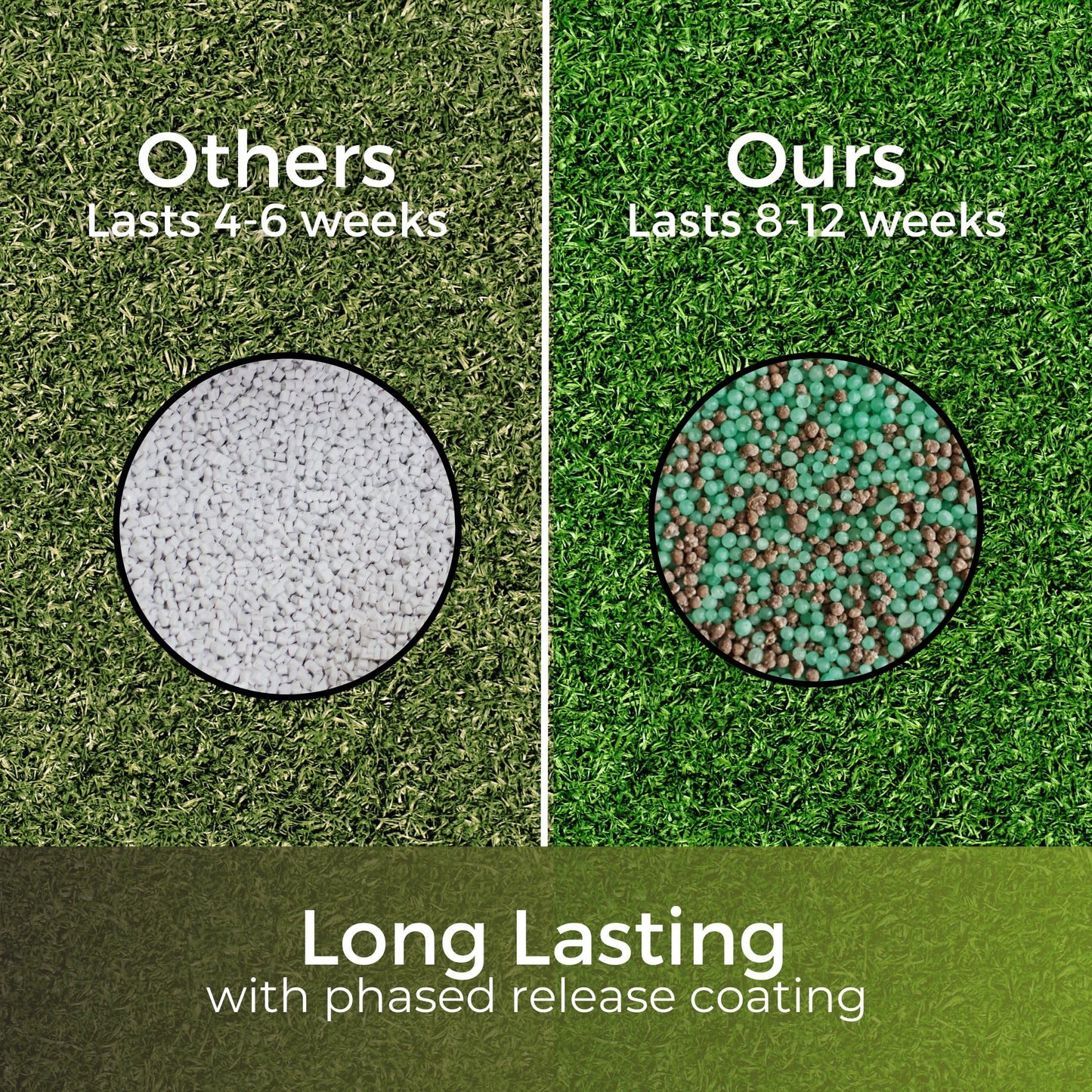 Dark Green Lawn Fertiliser - High in Nitrogen Greens Grass Fast - Feeds up to 90 Days - Child and Pet Friendly - Garden Lawncare Guy