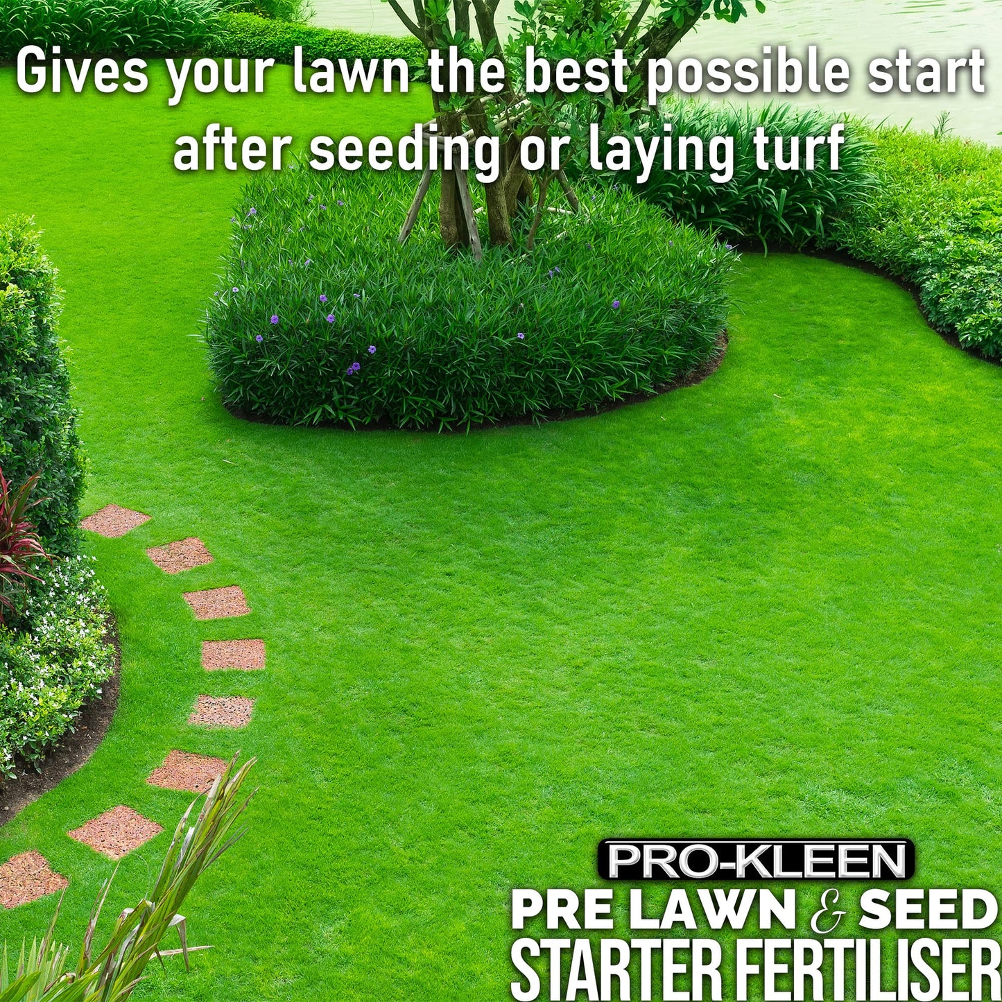 Pro-Kleen Pre Lawn & Seed Starter Fertiliser - Phosphorus Rich with Nitrogen, Potassium & Magnesium (NPK 8-12-8 - 3MgO) with added Zinc & Seaweed - Non-Toxic & Non-Staining - Covers up to 83m2 (2.5kg)