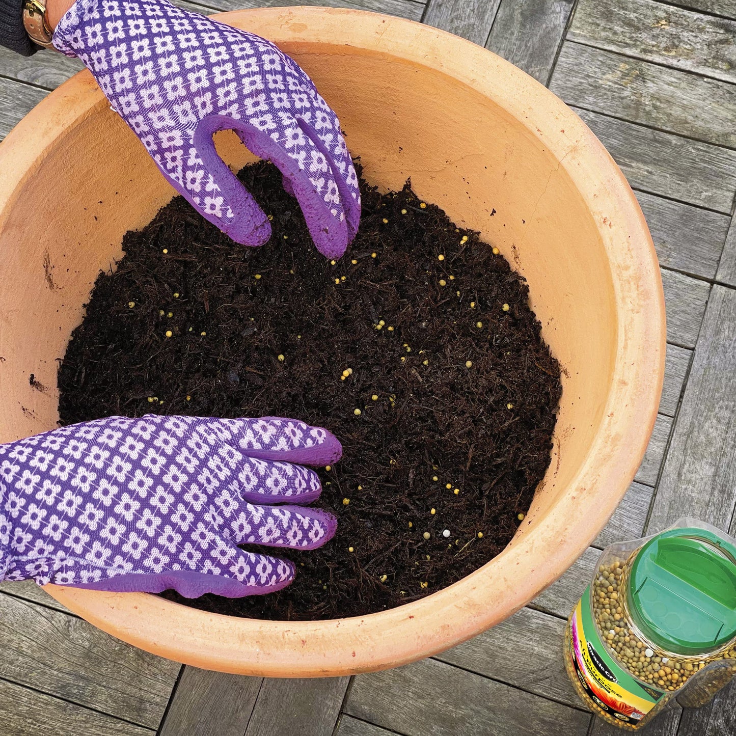 Miracle-Gro Continuous Release All Purpose Plant Food, 900G, White