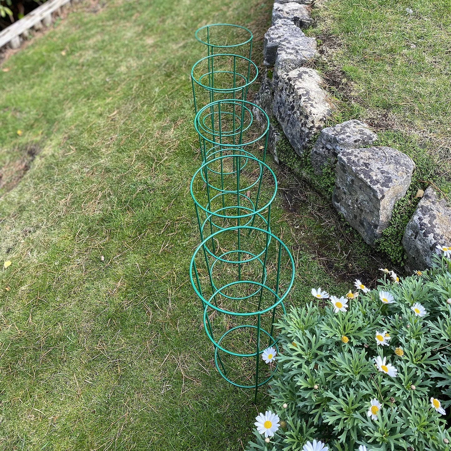 Selections Pack of 5 (48 Centimeter) Conical Garden Plant Support Rings