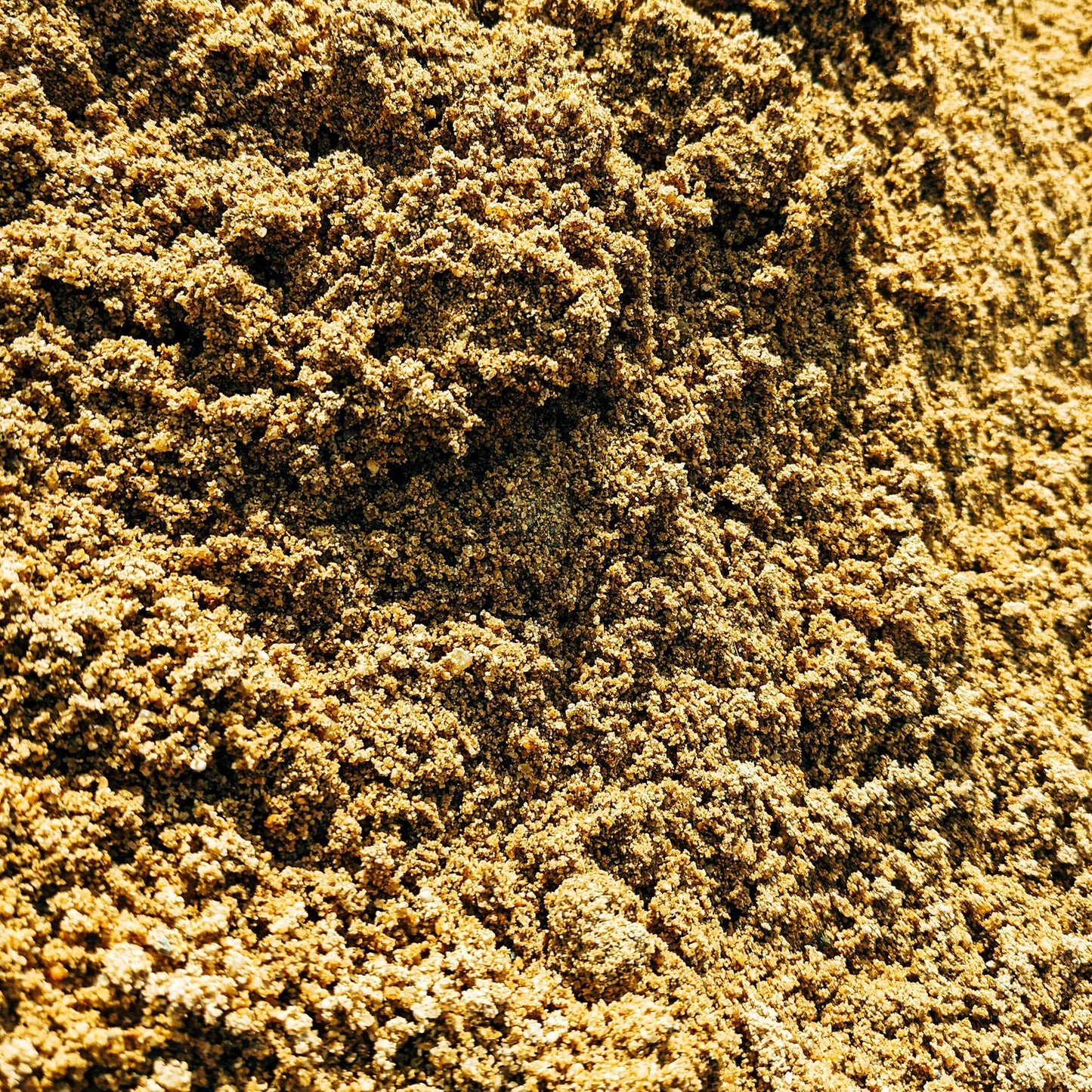 Laeto Build It Kiln Dried Sand A Simple Seal For Block Paving slabs, Drives And Paths. Fine Dry Aggregate Silica Sand 1 X 20kg Sand Bags