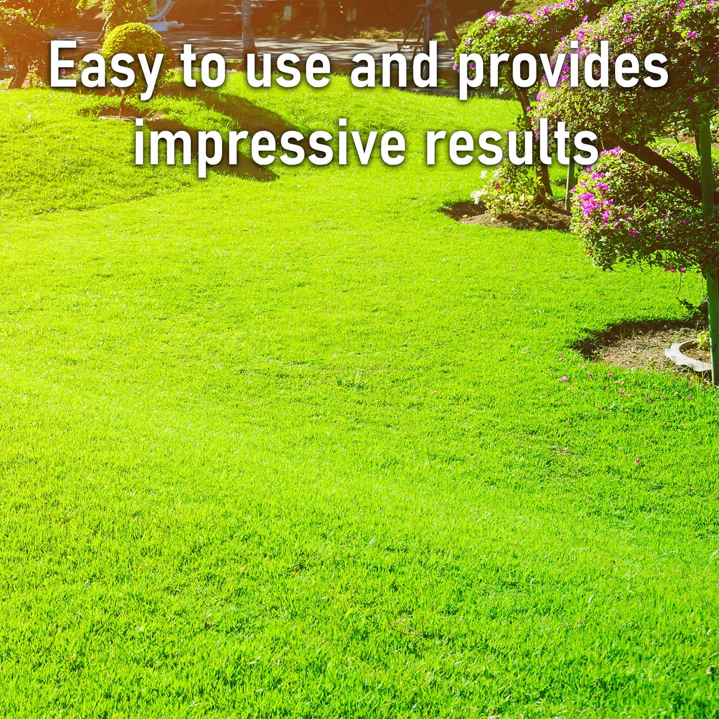 Pro-Kleen Spring and Autumn Lawn Feed - Fertiliser for Green Up & Plant Strength - Covers up to 100m2 - Prevents Lawn Disease & Lasts up to 6 Weeks (2.5kg)