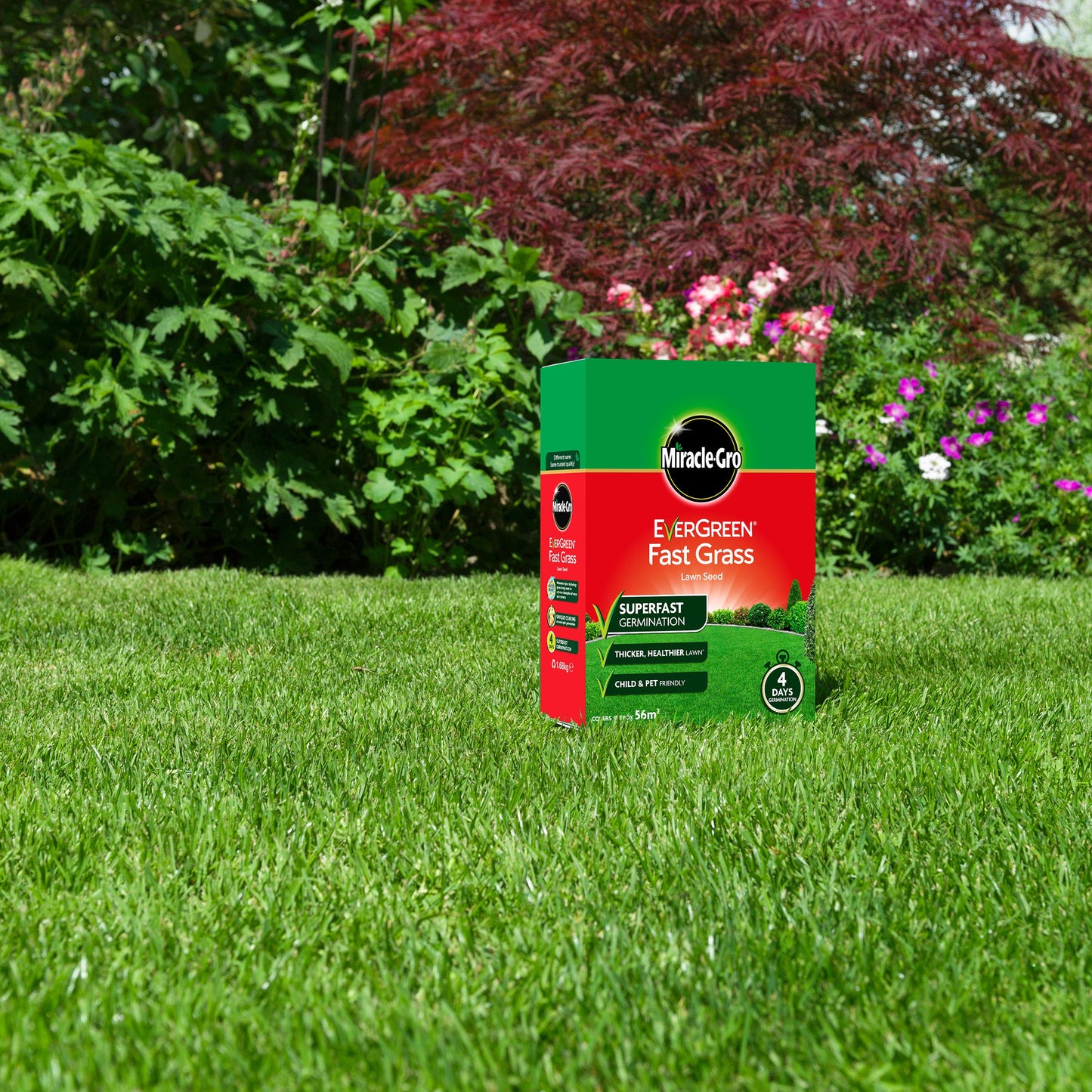 Miracle-Gro EverGreen Fast Grass Lawn Seed 1.6 kg - 56 m2, Gold