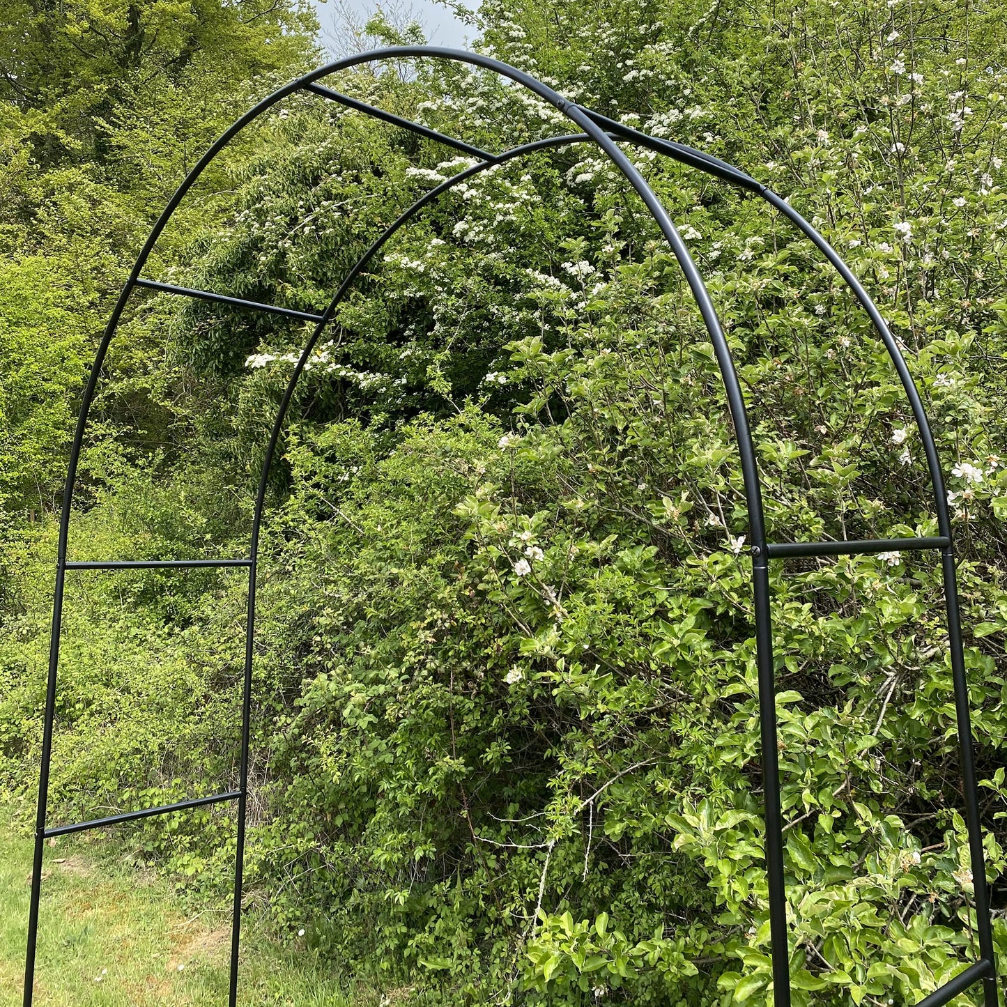 Selections Metal Garden Arch with Double Gate Outdoor Climbing Plants (240cm x 140cm)