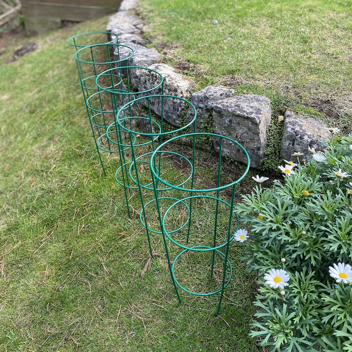 Selections Pack of 5 (48 Centimeter) Conical Garden Plant Support Rings