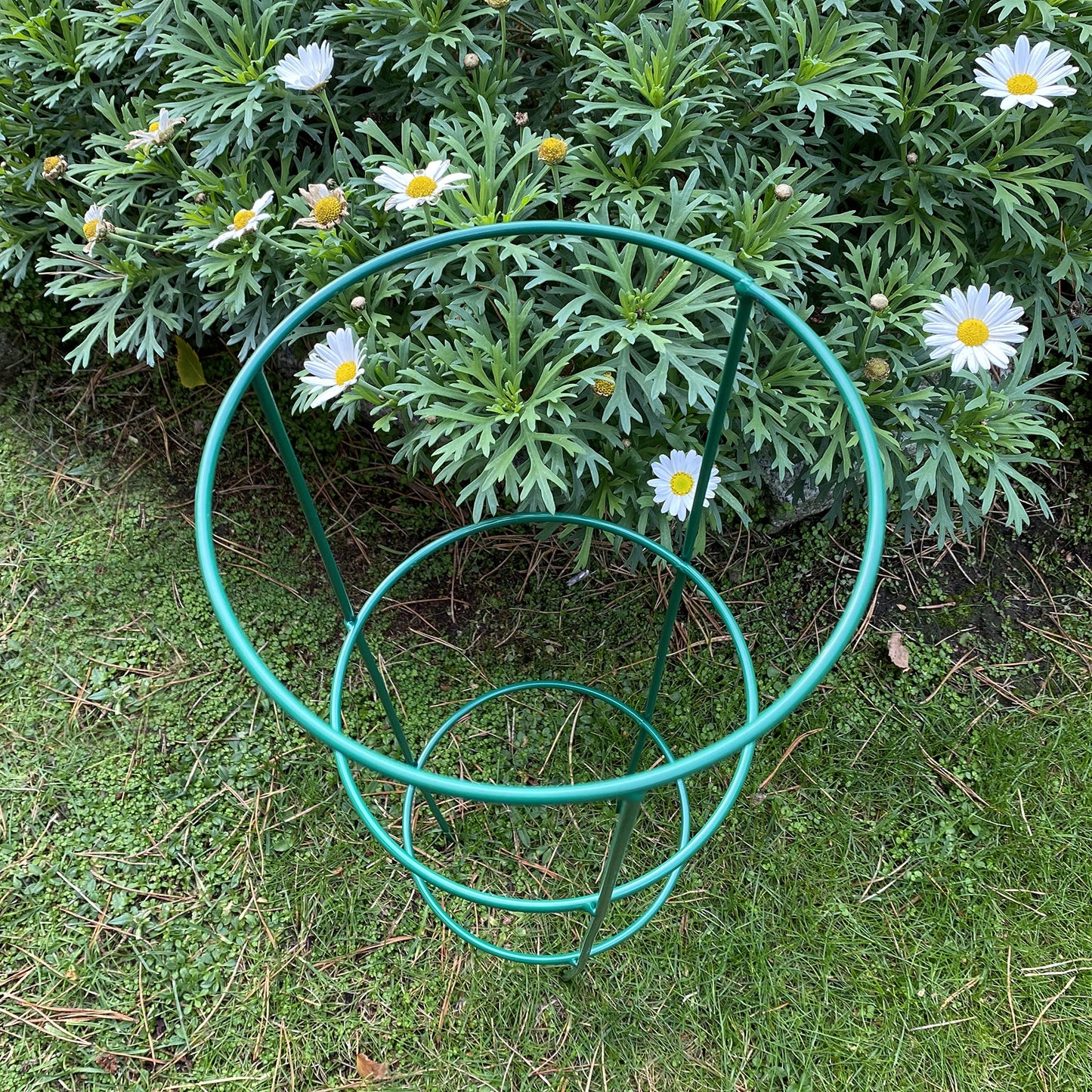 Selections Pack of 5 (48 Centimeter) Conical Garden Plant Support Rings