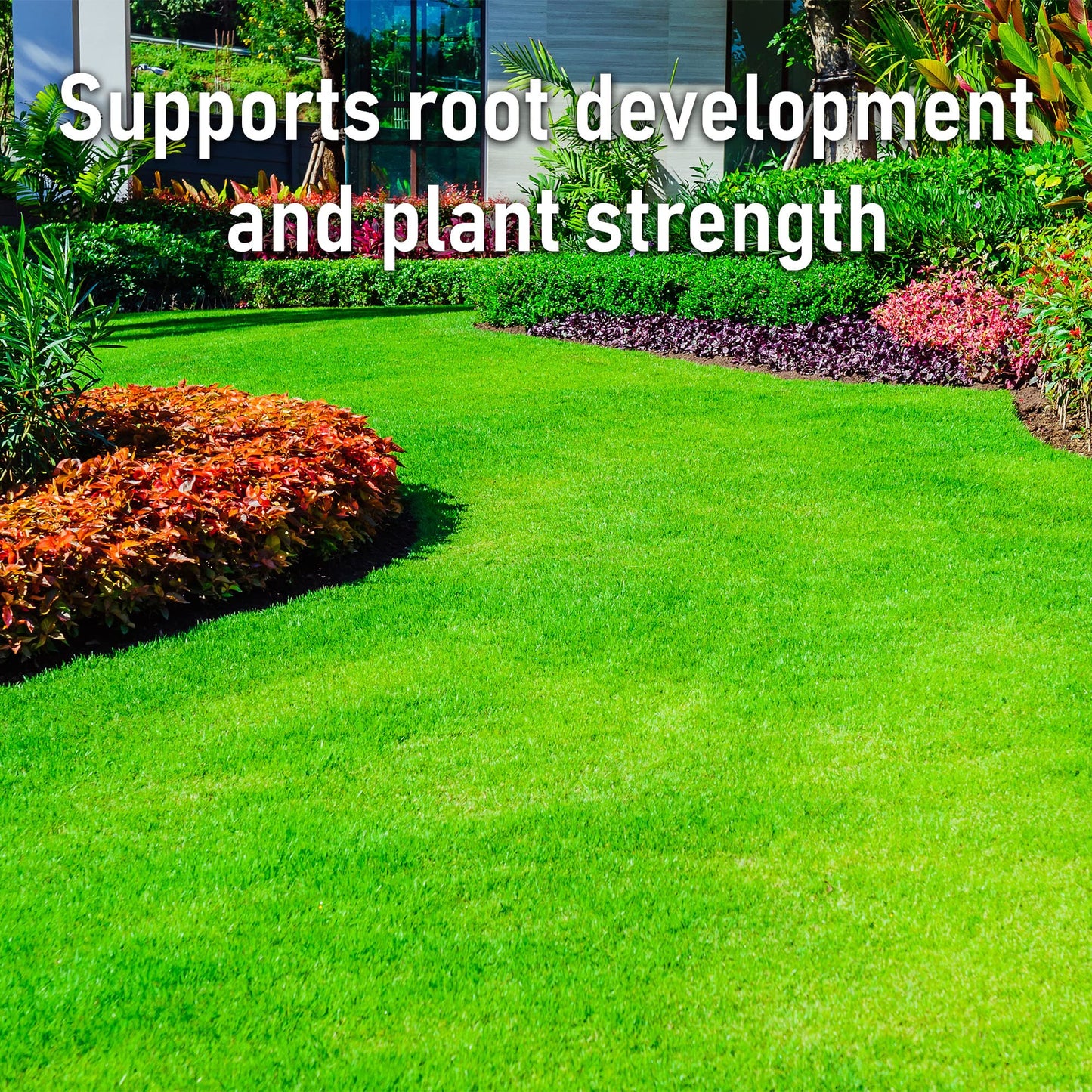 Pro-Kleen Spring and Autumn Lawn Feed - Fertiliser for Green Up & Plant Strength - Covers up to 100m2 - Prevents Lawn Disease & Lasts up to 6 Weeks (2.5kg)