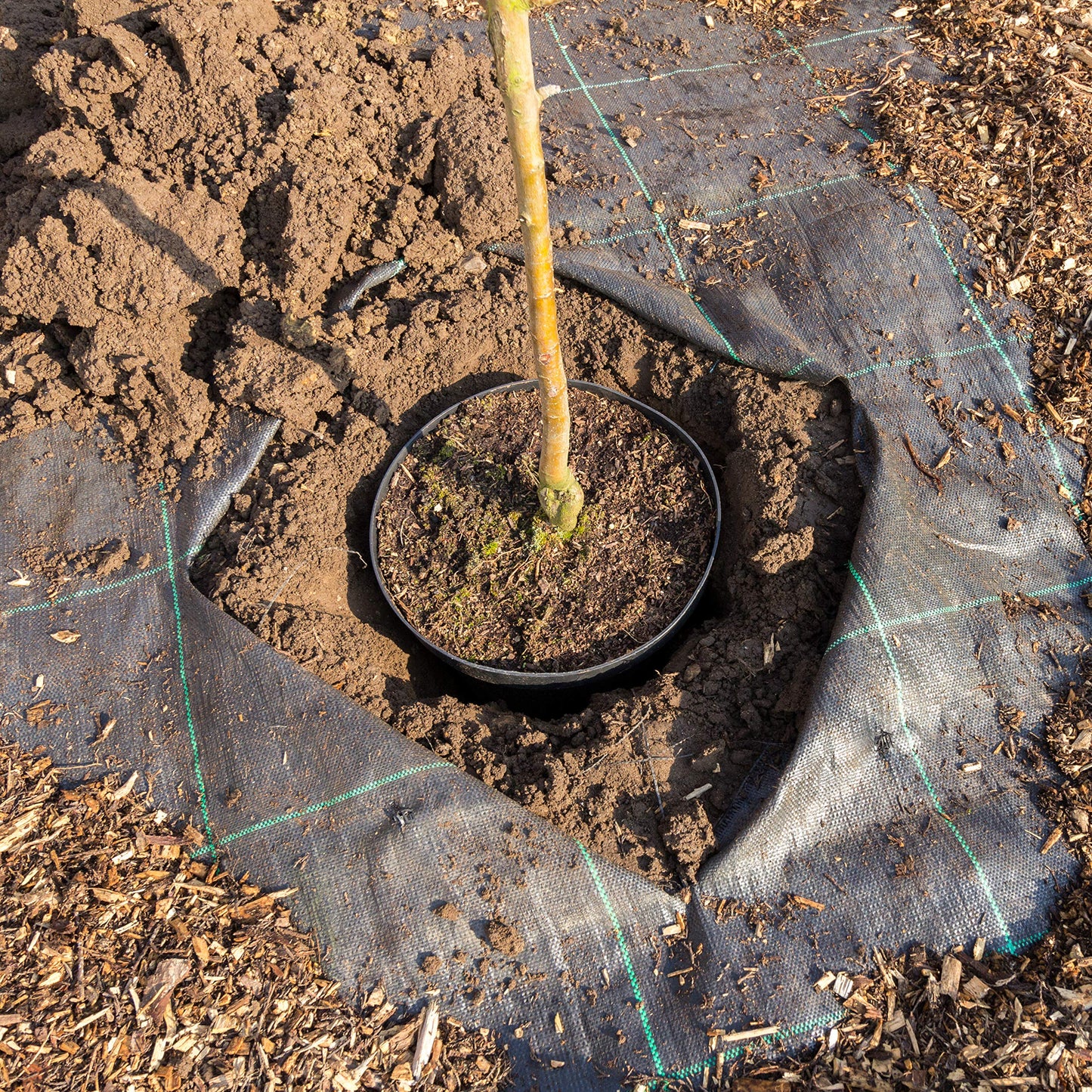 GardenKraft 10079 Heavy Duty Weed Control Fabric / 20m Coverage From 1 Individual 10m x 2m Barrier Roll / Multi-Purpose Garden Landscaping Ground Cover