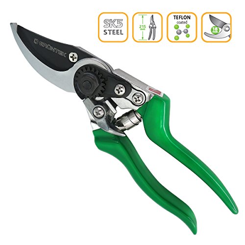 GRÜNTEK Secateurs, Professional Garden Pruning Shears Falke, Bypass, SK5 Blade 48 mm, Teflon-Coated, Ergonomic Shape, Garden Pruner - Green