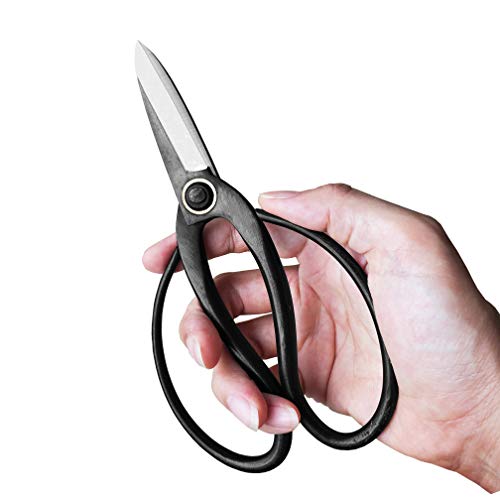gonicc Professional 7.3" Bonsai Tree Pruning Scissors(GPPS-1012), for Arranging Flowers, Trimming Plants, for Grow Room or Gardening, Bonsai Tools. Garden Scissors Loppers.