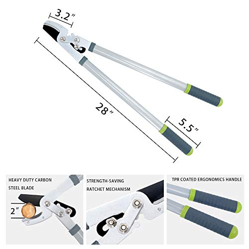 Hortem 3PCS Garden Shears Set with 28" Tree Loppers Heavy Duty, 23" Professional Hedge Clippers, 8" Sharp Pruning Shears as Tree & Shrub Care Kit