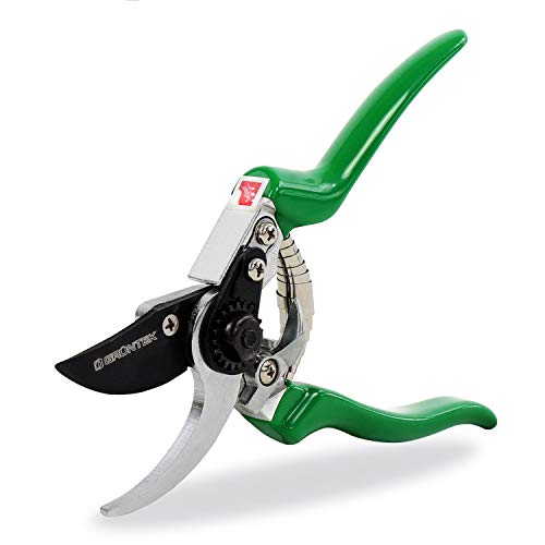 GRÜNTEK Secateurs, Professional Garden Pruning Shears Falke, Bypass, SK5 Blade 48 mm, Teflon-Coated, Ergonomic Shape, Garden Pruner - Green