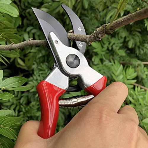 Gonicc Secateurs - Thumbnail 5