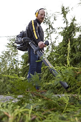 McCulloch GB 355 BP Backpack Leaf Blower: 1500 W Engine Power, 46cc, 355 Km/h Blow Speed, Variable Speed, Full Anti-Vibration System, Cruise Control, with Backpack Included