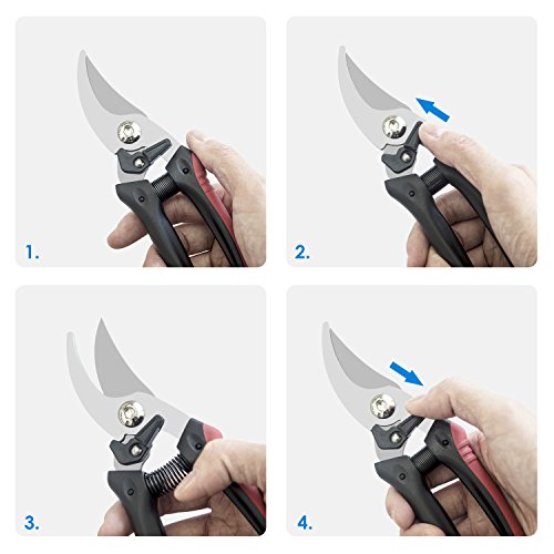 JEOutdoors ZEM Pruning Shears, Professional High Carbon Alloy Steel Sharp Blade Bypass Hand Pruner, Tree Trimmer, Garden Shears-JO0001, Black red