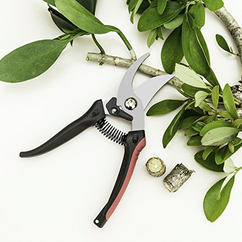 JEOutdoors ZEM Pruning Shears, Professional High Carbon Alloy Steel Sharp Blade Bypass Hand Pruner, Tree Trimmer, Garden Shears-JO0001, Black red