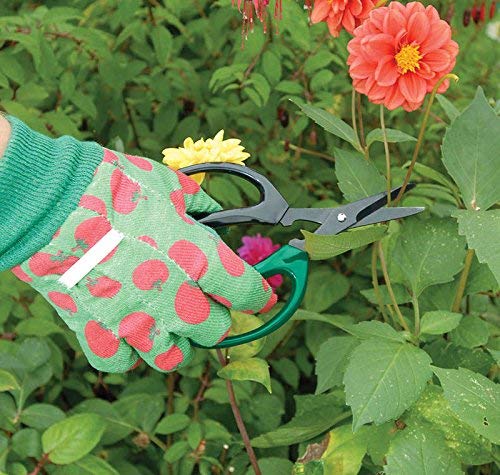 Draper 18299 Garden Scissors, Precision Pruning Floristry, Pack of 2