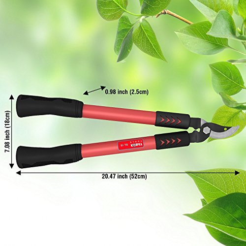 TABOR TOOLS GL18E Bypass Mini Lopper, Makes Clean Professional Cuts, 2 1/2 cm Cutting Capacity, 50cm Tree Trimmer and Branch Cutter (GL18E Classic Bypass, Short)