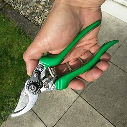 GRÜNTEK Secateurs, Professional Garden Pruning Shears Falke, Bypass, SK5 Blade 48 mm, Teflon-Coated, Ergonomic Shape, Garden Pruner - Green