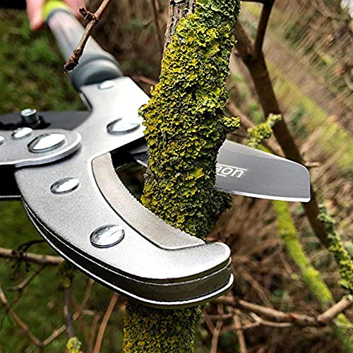 Davaon Pro Tree Pruner - Telescopic Tree Pruners & Branch Cutters- Ideal Gardening Tool for Cutting Thick Hedges and Tough Branches - Tree Loppers - Ratchet Loopers with Long Reach