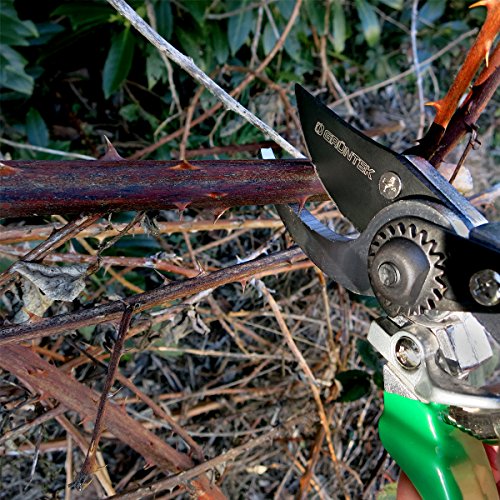 GRÜNTEK Secateurs, Professional Garden Pruning Shears Falke, Bypass, SK5 Blade 48 mm, Teflon-Coated, Ergonomic Shape, Garden Pruner - Green