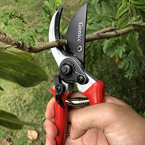 gonicc 8" Professional Secateurs Sharp Bypass Pruning Shears (GPPS-1002), Tree Trimmers Secateurs,Hand Pruner, Garden Pruner, Gardening Scissors, Bonsai Tools