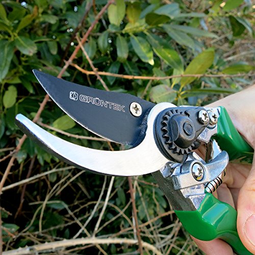 GRÜNTEK Secateurs, Professional Garden Pruning Shears Falke, Bypass, SK5 Blade 48 mm, Teflon-Coated, Ergonomic Shape, Garden Pruner - Green
