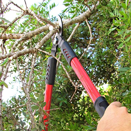TABOR TOOLS GL18E Bypass Mini Lopper, Makes Clean Professional Cuts, 2 1/2 cm Cutting Capacity, 50cm Tree Trimmer and Branch Cutter (GL18E Classic Bypass, Short)