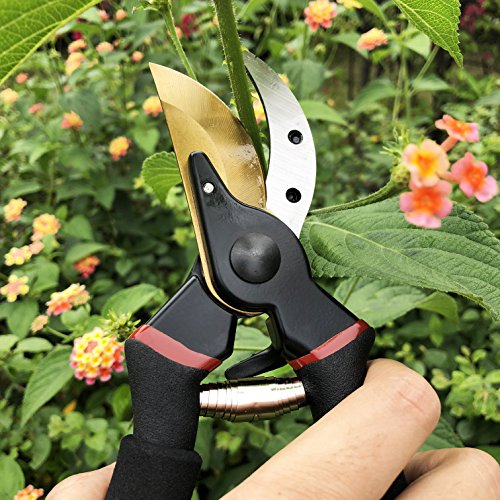 gonicc 8" Professional Secateurs Premium Titanium Bypass Pruning Shears (GPPS-1003), Hand Pruners, Garden Clip, Hedge Shears(Gold)