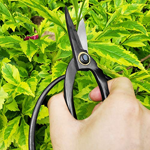 gonicc Professional 7.3" Bonsai Tree Pruning Scissors(GPPS-1012), for Arranging Flowers, Trimming Plants, for Grow Room or Gardening, Bonsai Tools. Garden Scissors Loppers.
