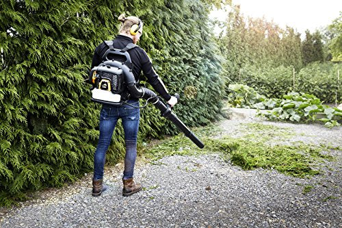 McCulloch GB 355 BP Backpack Leaf Blower: 1500 W Engine Power, 46cc, 355 Km/h Blow Speed, Variable Speed, Full Anti-Vibration System, Cruise Control, with Backpack Included