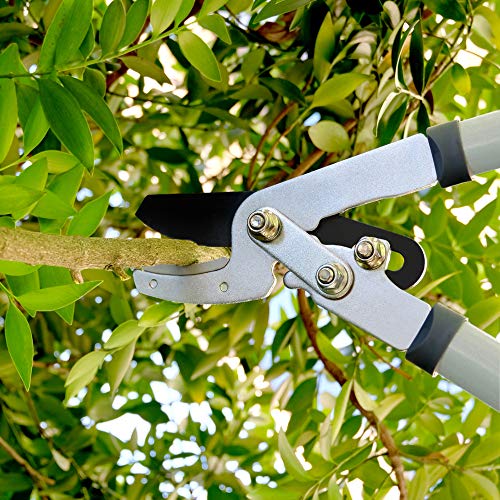 Hortem 3PCS Garden Shears Set with 28" Tree Loppers Heavy Duty, 23" Professional Hedge Clippers, 8" Sharp Pruning Shears as Tree & Shrub Care Kit
