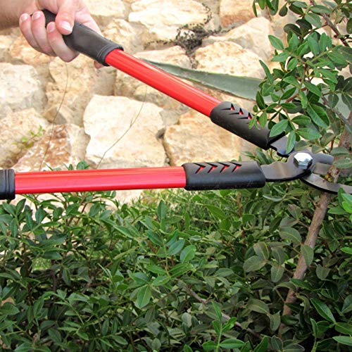 TABOR TOOLS GL18E Bypass Mini Lopper, Makes Clean Professional Cuts, 2 1/2 cm Cutting Capacity, 50cm Tree Trimmer and Branch Cutter (GL18E Classic Bypass, Short)