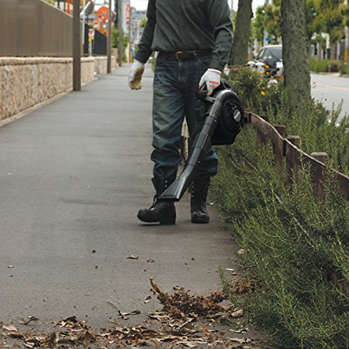 Makita BHX2501 24.5 cc 4-Stroke Petrol Handheld Leaf Blower